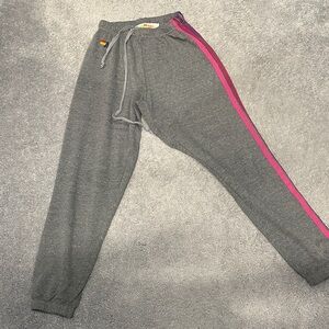 Aviation Nation Gray Joggers with pink, purple and blue stripes.